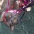 :iconsawyers92: