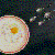 :iconsaxifrace: