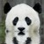 :iconsaxophone23: