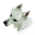 :iconsaya05: