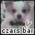 :iconsaygeiful: