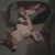 :iconsaygethefallen: