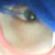 :iconsayheytokay: