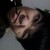 :iconsayjenny: