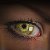 :iconsaylavus-kovey: