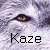 :iconsayokaze: