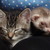 :iconsaythagirl: