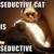 :iconsayukishine: