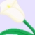:iconsayurimoriwa: