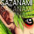 :iconsazanami: