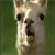 :iconsbllamaplz:
