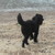:iconscampandangle01: