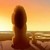 :iconscar-paw: