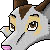 :iconscar19: