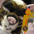 :iconscardykat: