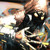 :iconscarecrowhb: