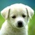:iconscaredthing:
