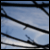 :iconscarf-face: