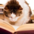 :iconscarfurr: