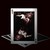 :iconscarlet-scales: