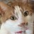 :iconscarlet-theehedgehog: