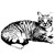 :iconscarletcarousel: