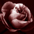 :iconscarletpassion: