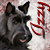 :iconscarlett-maple: