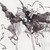 :iconscarlettdragon: