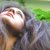 :iconscarlettlovesya: