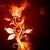 :iconscarlettoverseer: