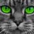 :iconscarlettphoenix: