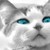 :iconscarlettrosecat: