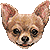 :iconscarletttulip: