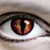 :iconscarlettwesker: