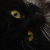 :iconscarlingfan: