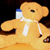 :iconscarpa: