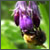 :iconscarphotos: