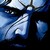 :iconscarraven: