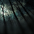 :iconscarred-shadows: