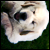 :iconScarry: