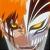 :iconscarthemonkey: