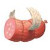 :iconScarySolstice: