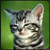 :iconscatcat: