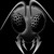 :iconscatterbug49: