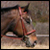 :iconscattercloud-stock: