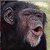 :iconscelestusfactum: