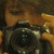 :iconscenecat: