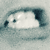 :iconsceneel: