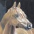 :iconsceptrehorse: